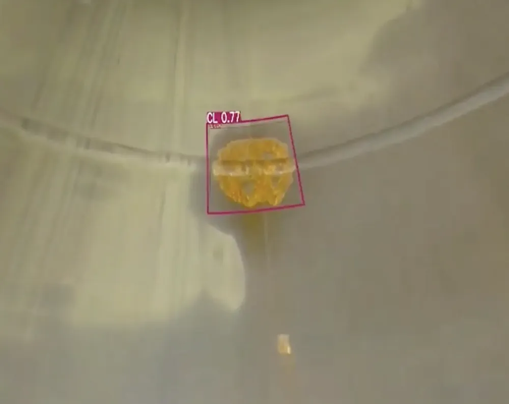 AI-Remote Inspection